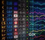Be a profitable trader in only 5 day classes