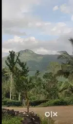 At  Vagamon excellent view