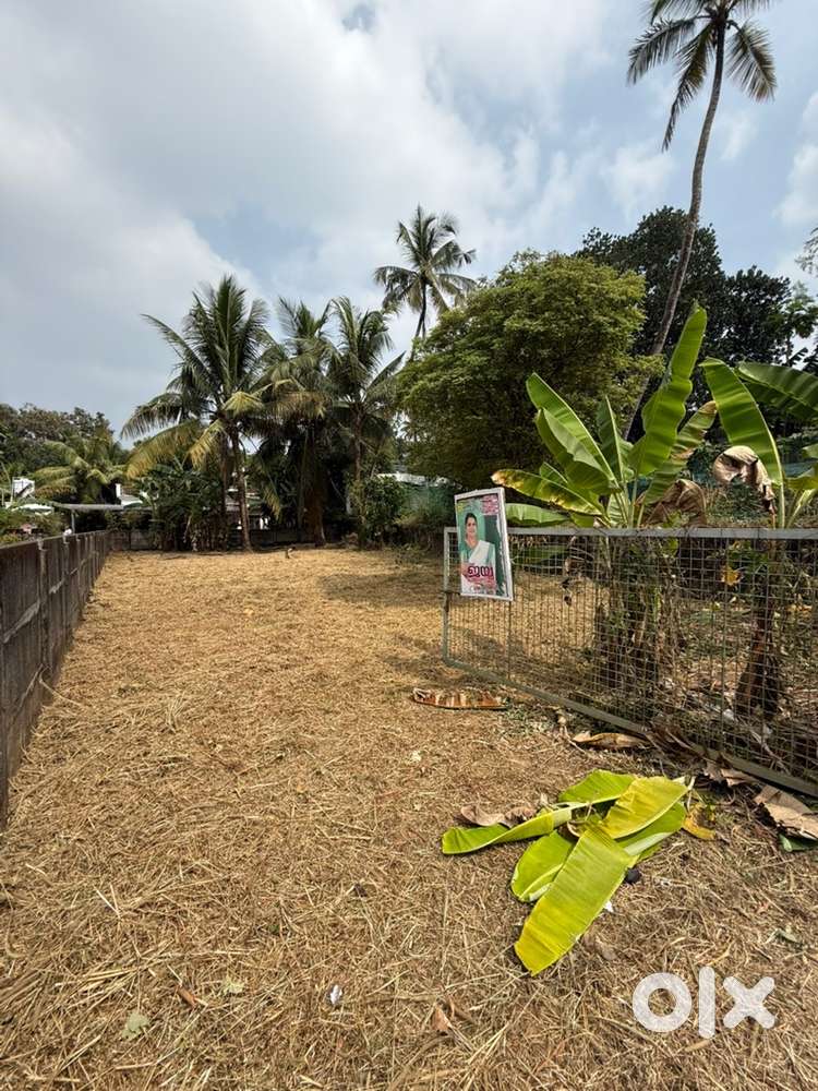 8 cent Plot for sale close to Ollur center