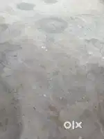 Near kanchimod Una Mandi Highway