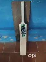 Bat cricket