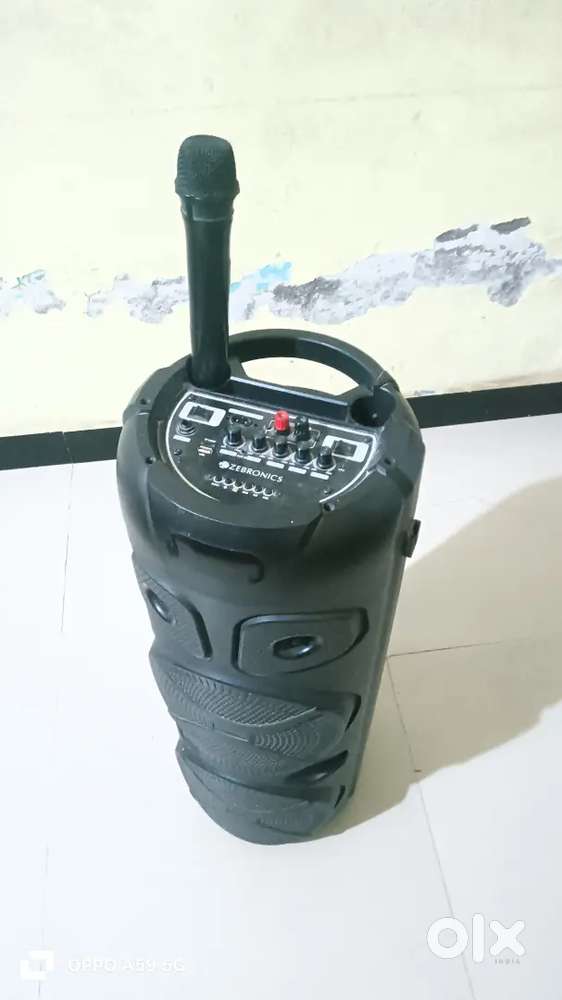 Zebronic system