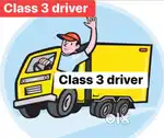 Acting driver, personal driver,or need car