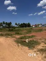 Plot for Sale