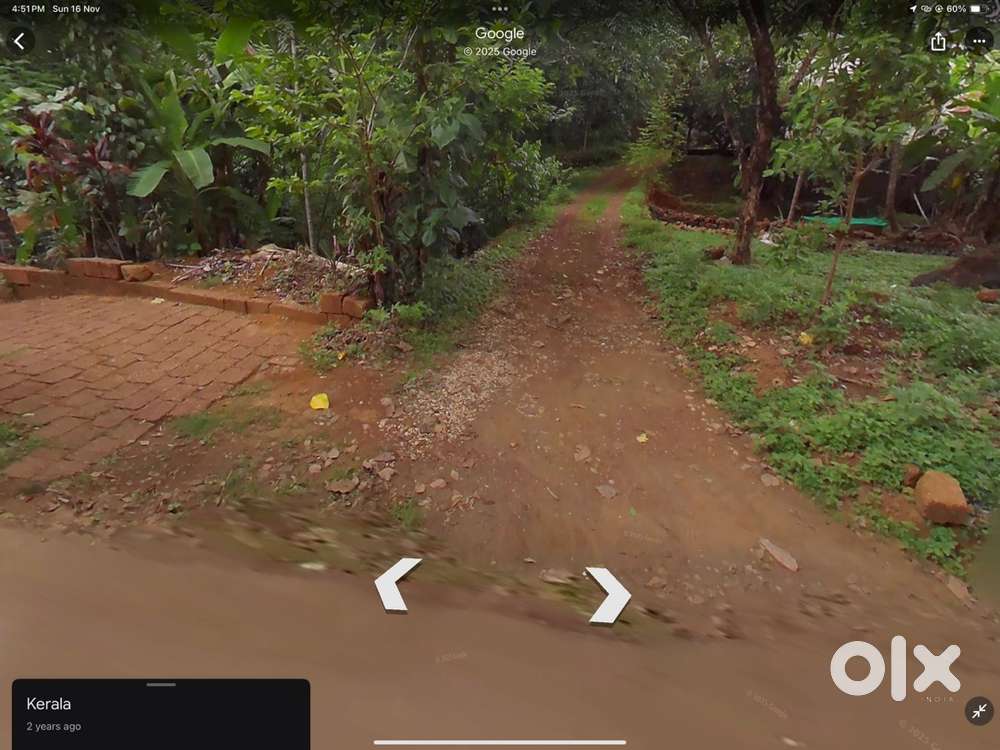 50 സെൻ്റ് house പ്ലോട്ട് വില്പനയ്ക്ക് പയ്യാവൂർ ടൗണിൽ 75000/cent