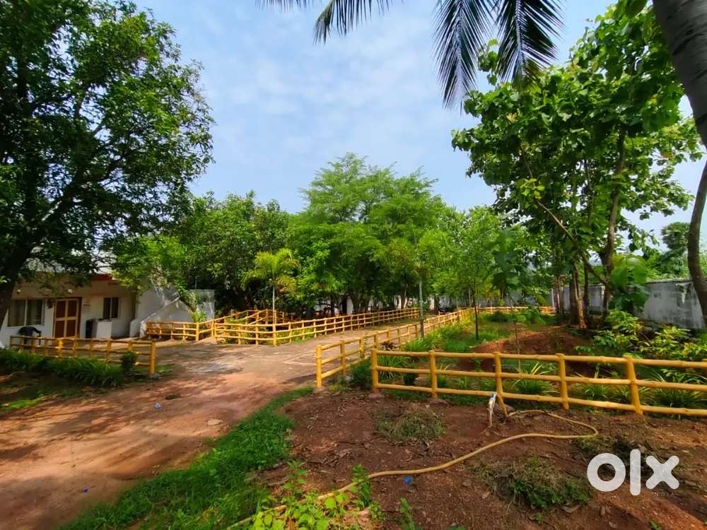 Best investment at low prize.