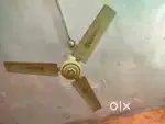 Bharat Fan for sell
