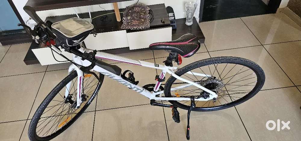 Avanti (New zealand)