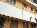 Complex and residential apartments for rent