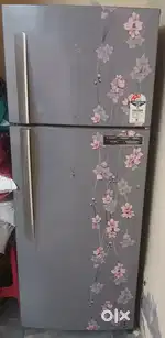 Fridge looking good nothing any damaged but need service