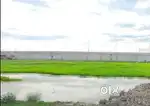 Ashi BarnalaKothi/Plot lena hai kise ne vecna hai tan dasso.