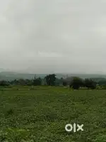उज्जैन रोड का मेन रोड का प्लॉट मायूर ढाबे के पास