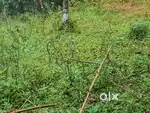 Land for sale at munnar anakkulam