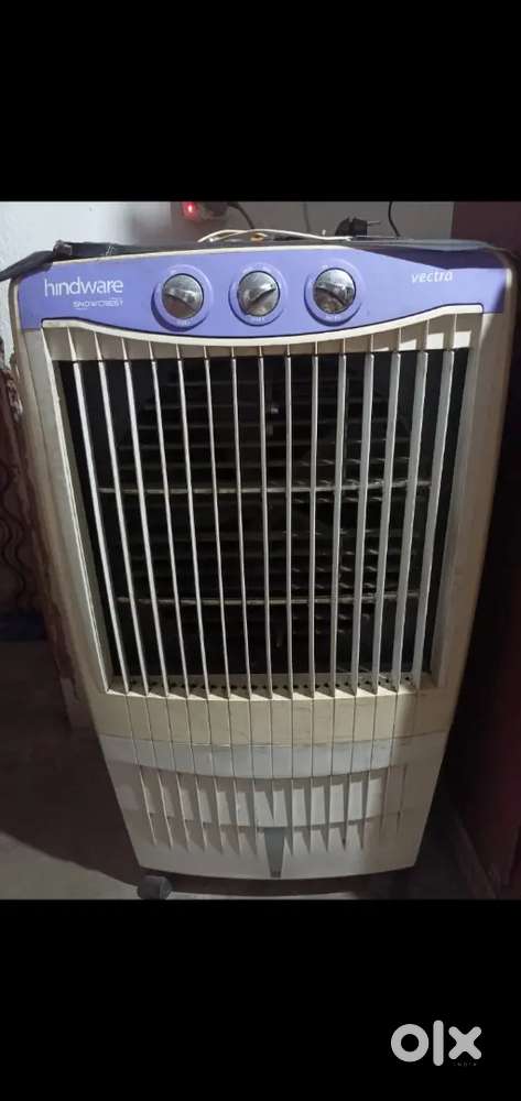 Cooler hai