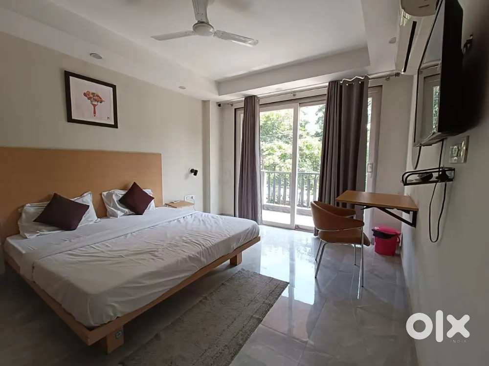 Luxury pg In gurugram sector 46 and 39