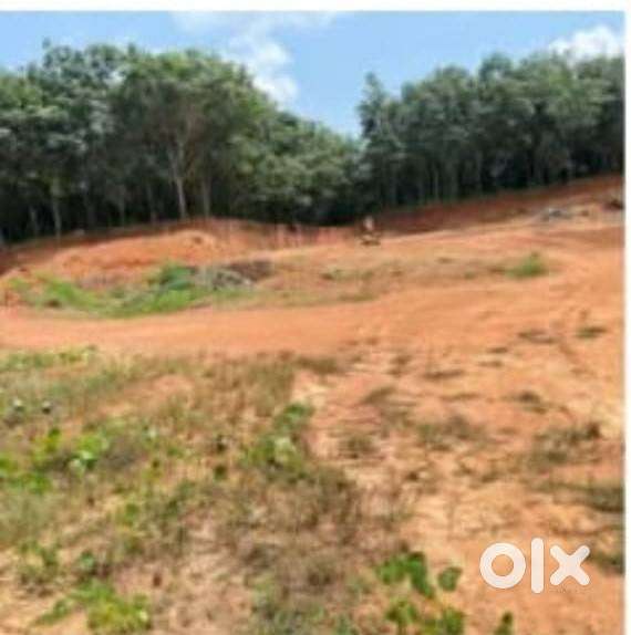 1.2 acre  residential plot for sale at Kolenchery.