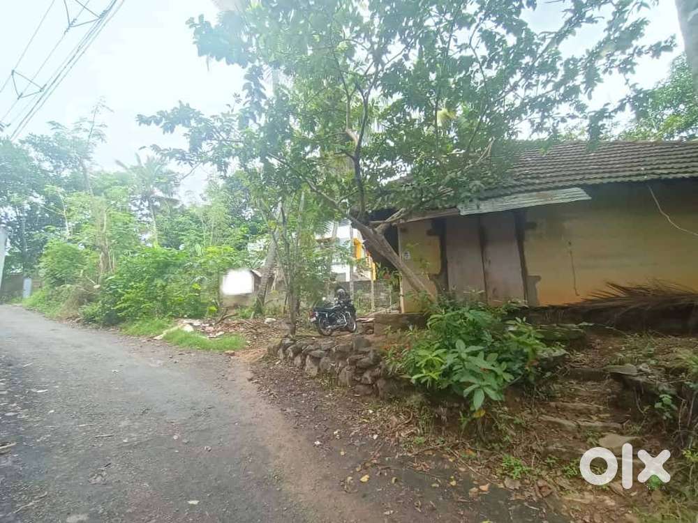 14 cent Plot for sale in Alathara -  Sreekaryam