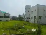 OMR On Road plots