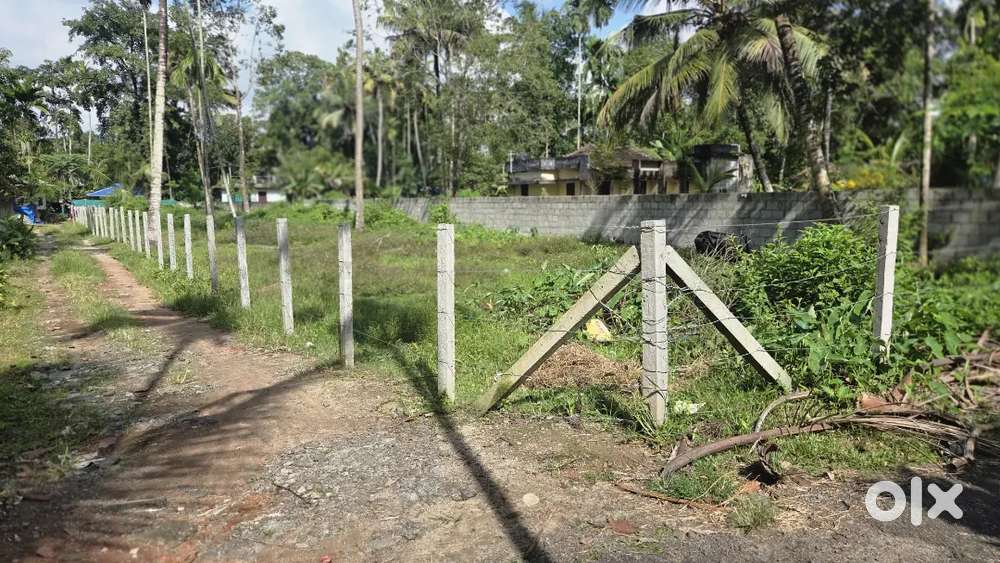 8 cent plot ചേർത്തല കെഎസ്ആർടിസി ബസ്റ്റാൻഡ് കിഴക്കുവശം