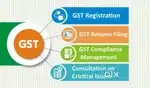 Auditor assistant