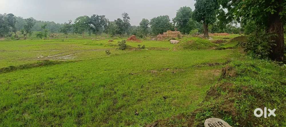 Padriganj (nearby railway station)