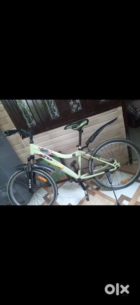 Avon Amigo Parrot Green Bicycle