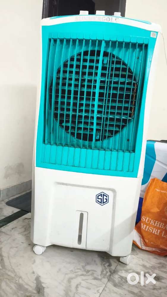 Summergold cooler (11 months old)