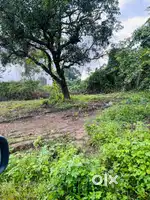 Settlement plot for sale title clear property Quepem xeldem