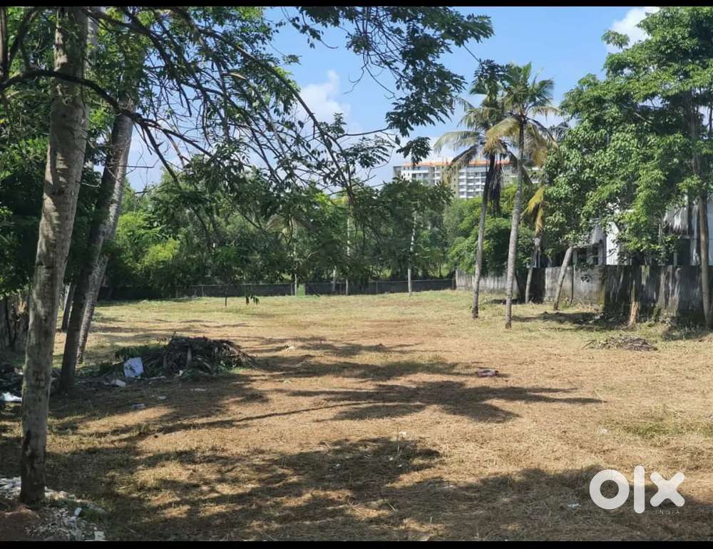 12 cents land for sale