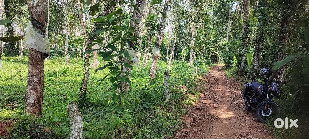 പാമ്പാടി 10 cent house plot.1.35 .lakh. bus rode.200 . mtrs