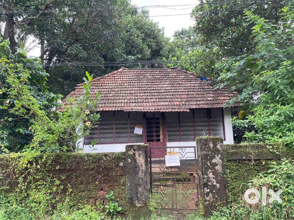 13cent plot with old house near medical college TCR