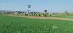 Three side Well connected plot, 13 Kms from airport,  9 kms from Army