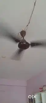 RR company celling fan. New Fan. కొత్తది 20 రోజులు మాత్రమే.అయింది.