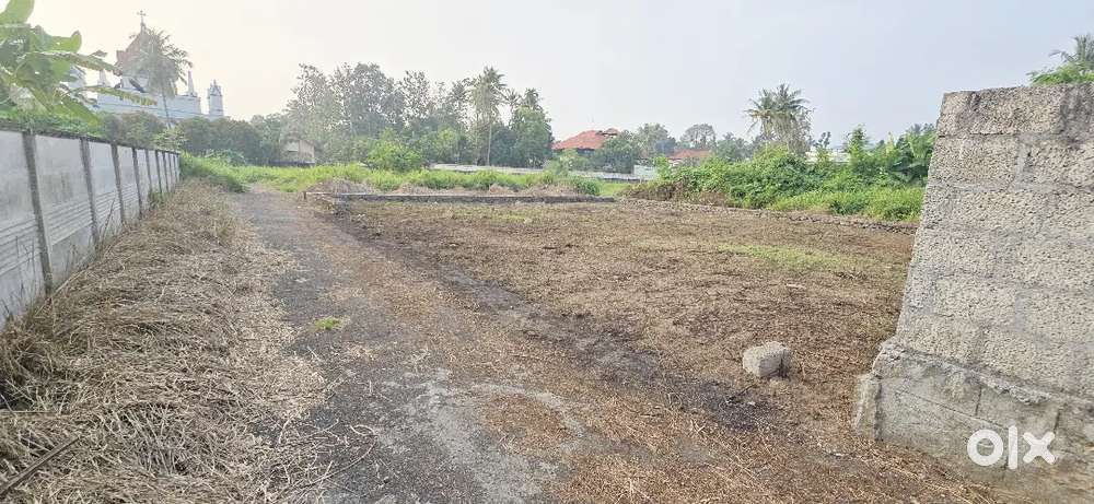 8 cent Land for sale near Assumption College