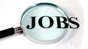 Wanted Surveyor for Urban & Rural area of every district of Odisha