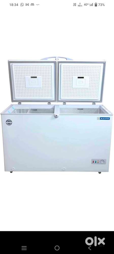 Blue star Double Door Deep Freeze