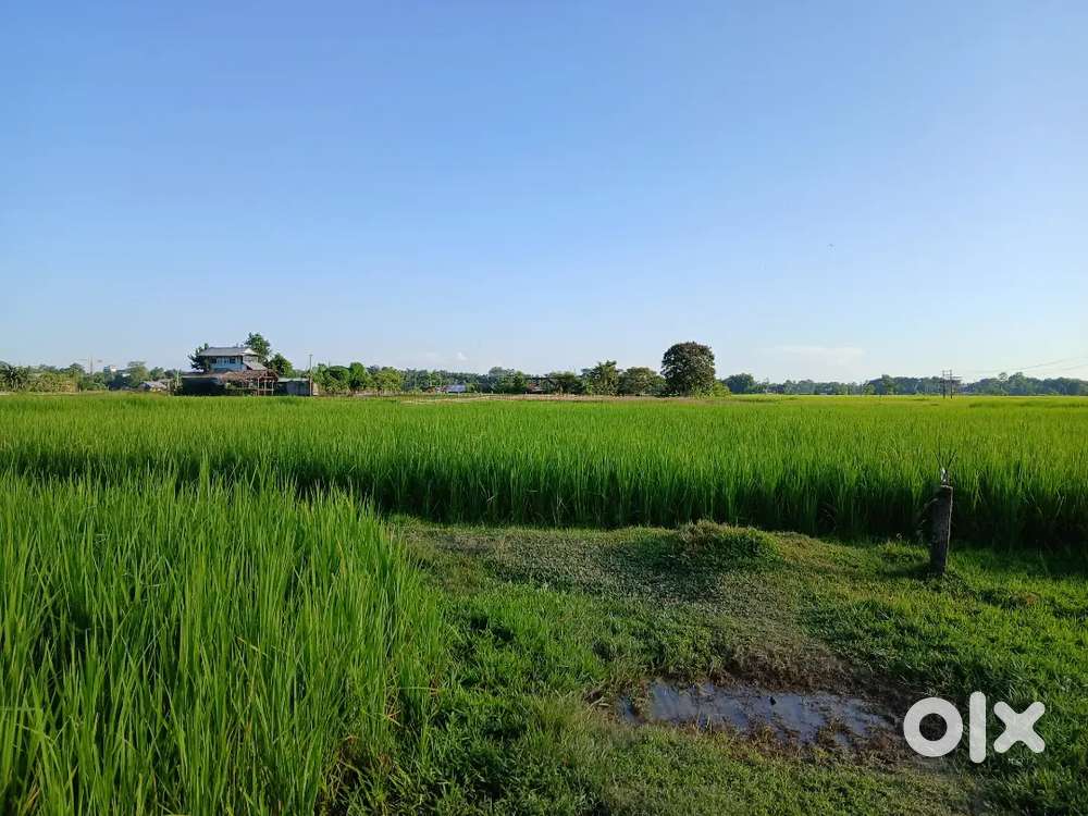 Land for sale near Dhemaji Chariali