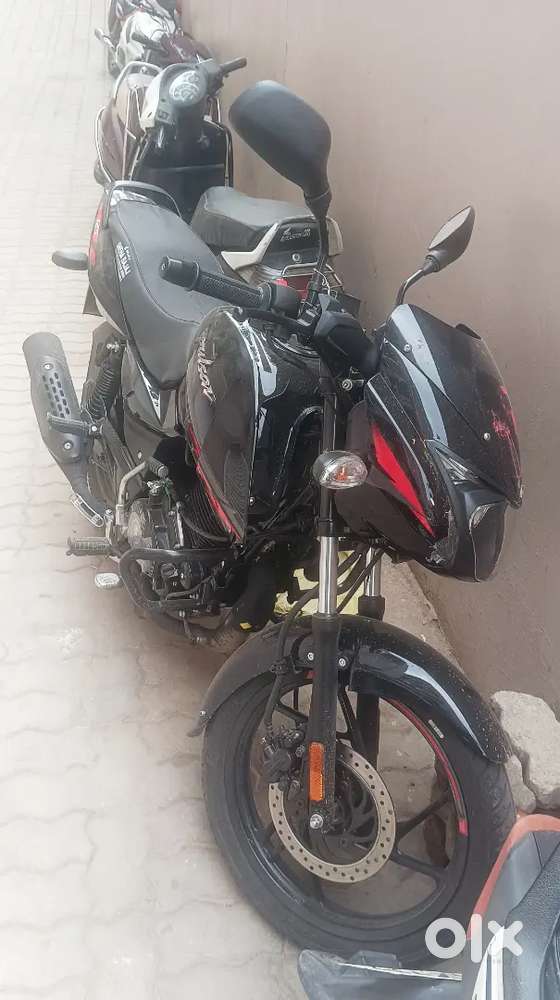 New Bajaj Pulsar Neon Edition