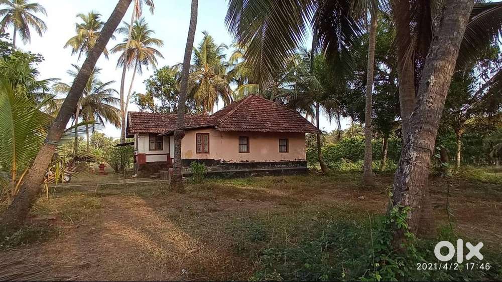 130680 Sq. ft Land for Sale in Katapady, Udupi