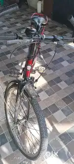 Bicycle for sale