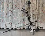 Compound Bow for sale
