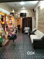 Salon Luxury furniture (complite) Ready to use and 1 parlour chair