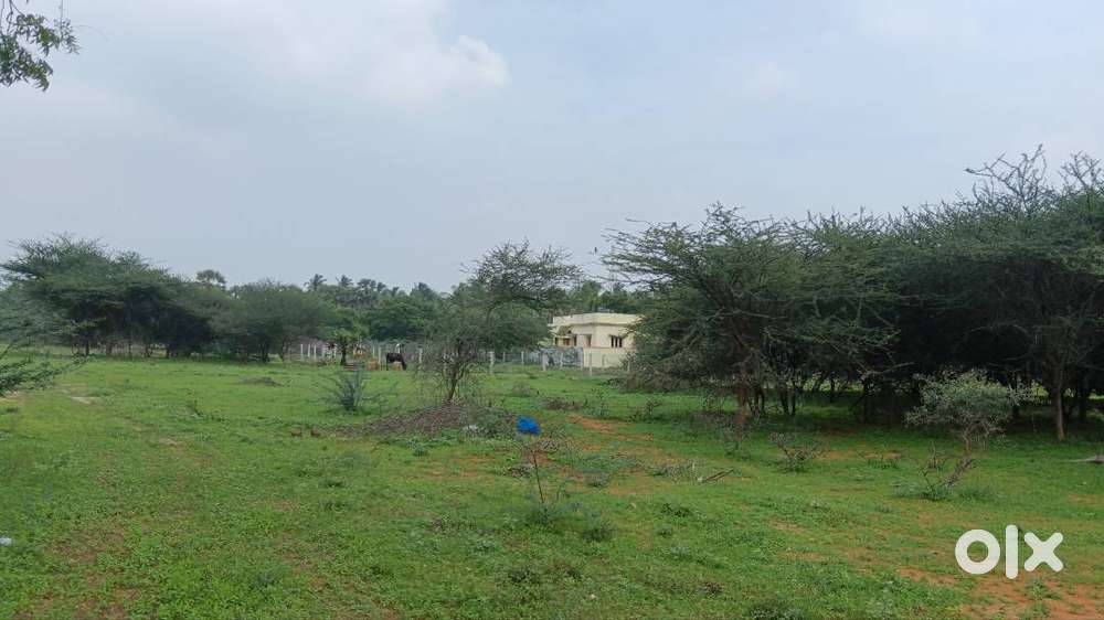 5 cent land for sale