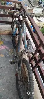 Best branded cycle