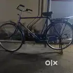 REGULAR MEN CYCLE