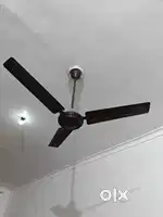 Havells ceiling 50 watt