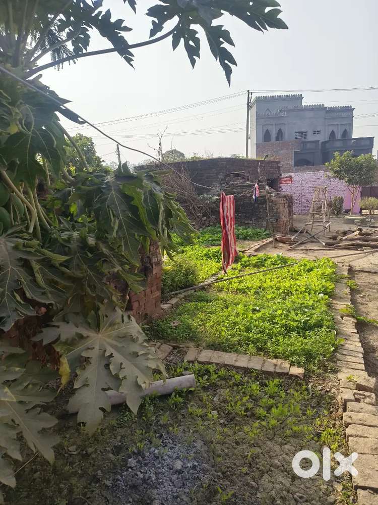 Ye 18 marle hai address adhoya men road par hai