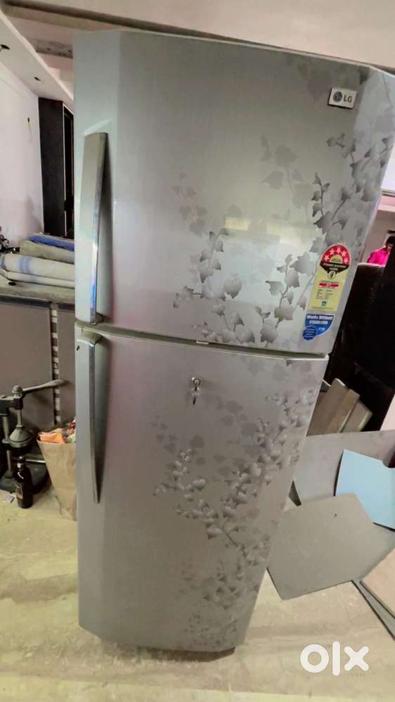 LG Double Door 260 Litres Fridge