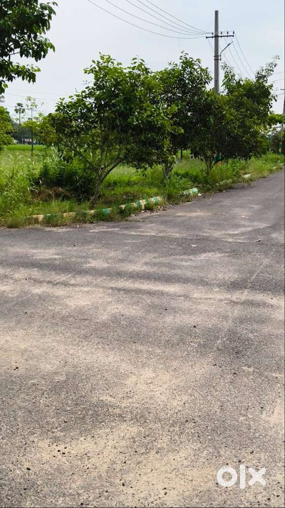 CCHINNAOGIRALA Location 1.5 kmFROMBNADN ROAD AT BANDAROAD