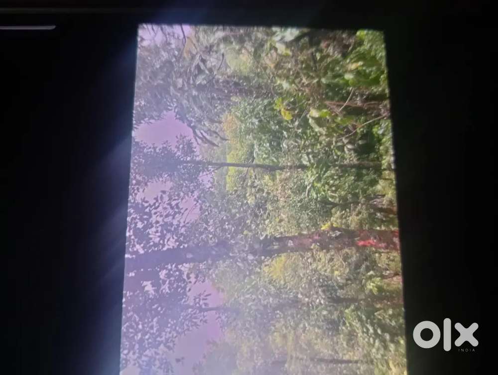 Plot near thrisselery temple